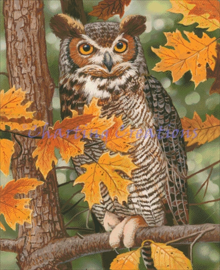 Autumn Owl